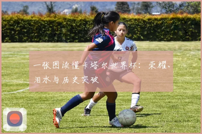 一张图读懂卡塔尔世界杯：荣耀、泪水与历史突破