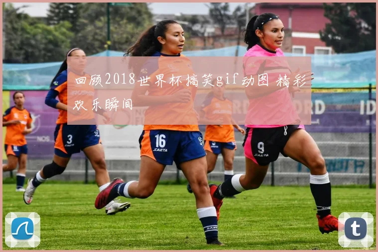 回顾2018世界杯搞笑gif动图 精彩欢乐瞬间