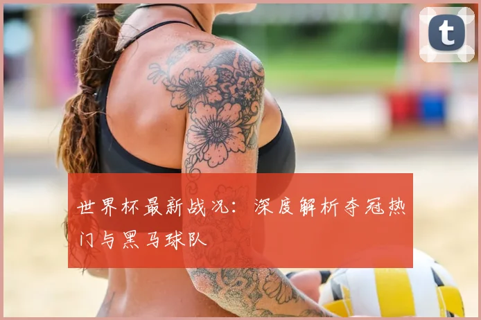 世界杯最新战况：深度解析夺冠热门与黑马球队