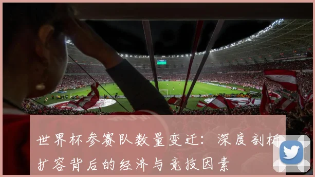 世界杯参赛队数量变迁：深度剖析扩容背后的经济与竞技因素
