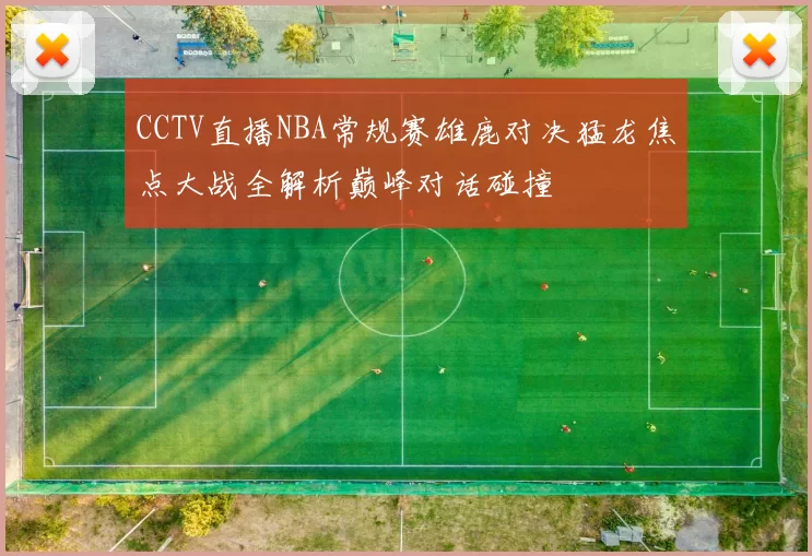 CCTV直播NBA常规赛雄鹿对决猛龙焦点大战全解析巅峰对话碰撞