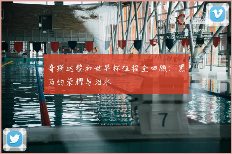哥斯达黎加世界杯征程全回顾：黑马的荣耀与泪水