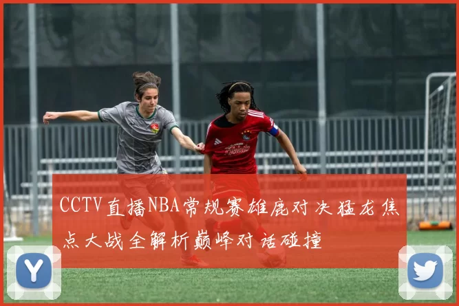CCTV直播NBA常规赛雄鹿对决猛龙焦点大战全解析巅峰对话碰撞