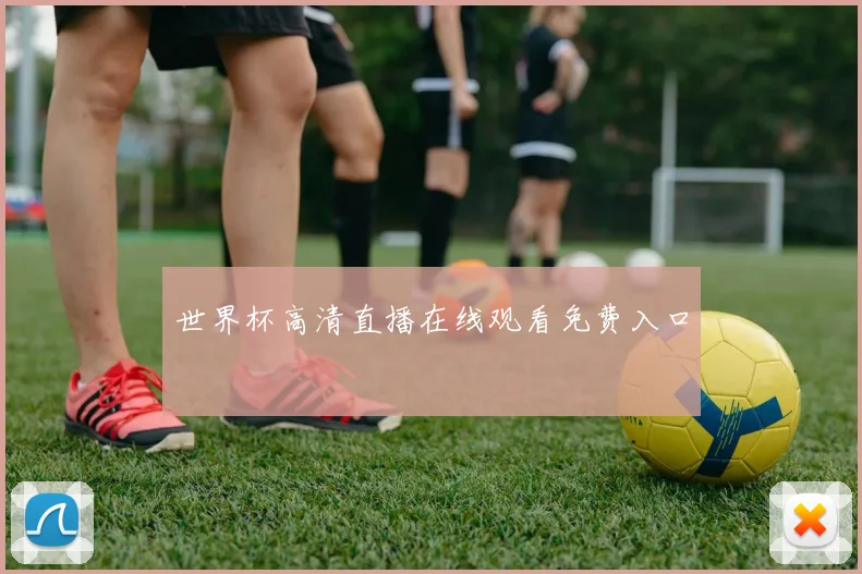 世界杯高清直播在线观看免费入口