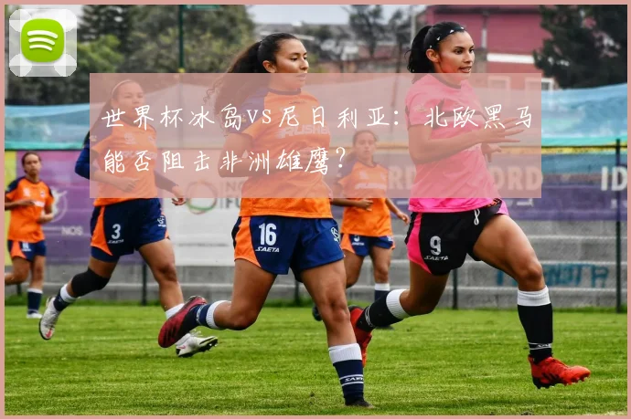 世界杯冰岛vs尼日利亚：北欧黑马能否阻击非洲雄鹰？
